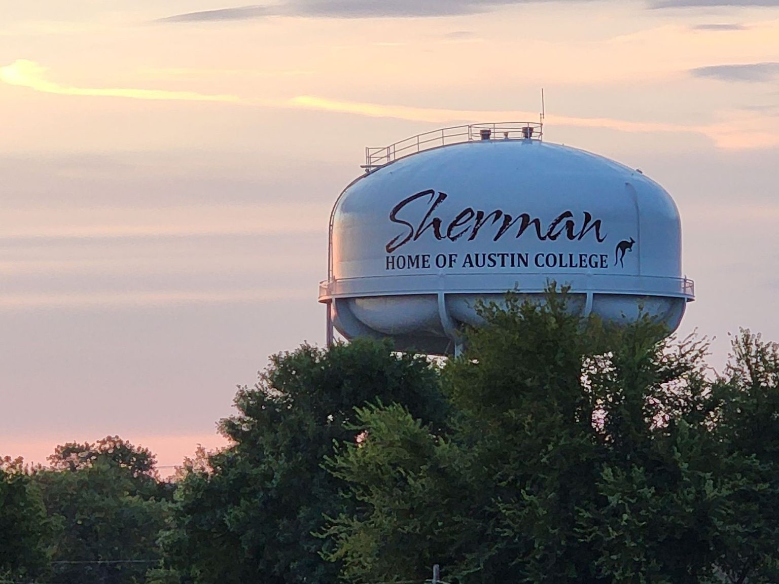 212 N Harrison Ave Sherman, TX 75090 | Land/Lot