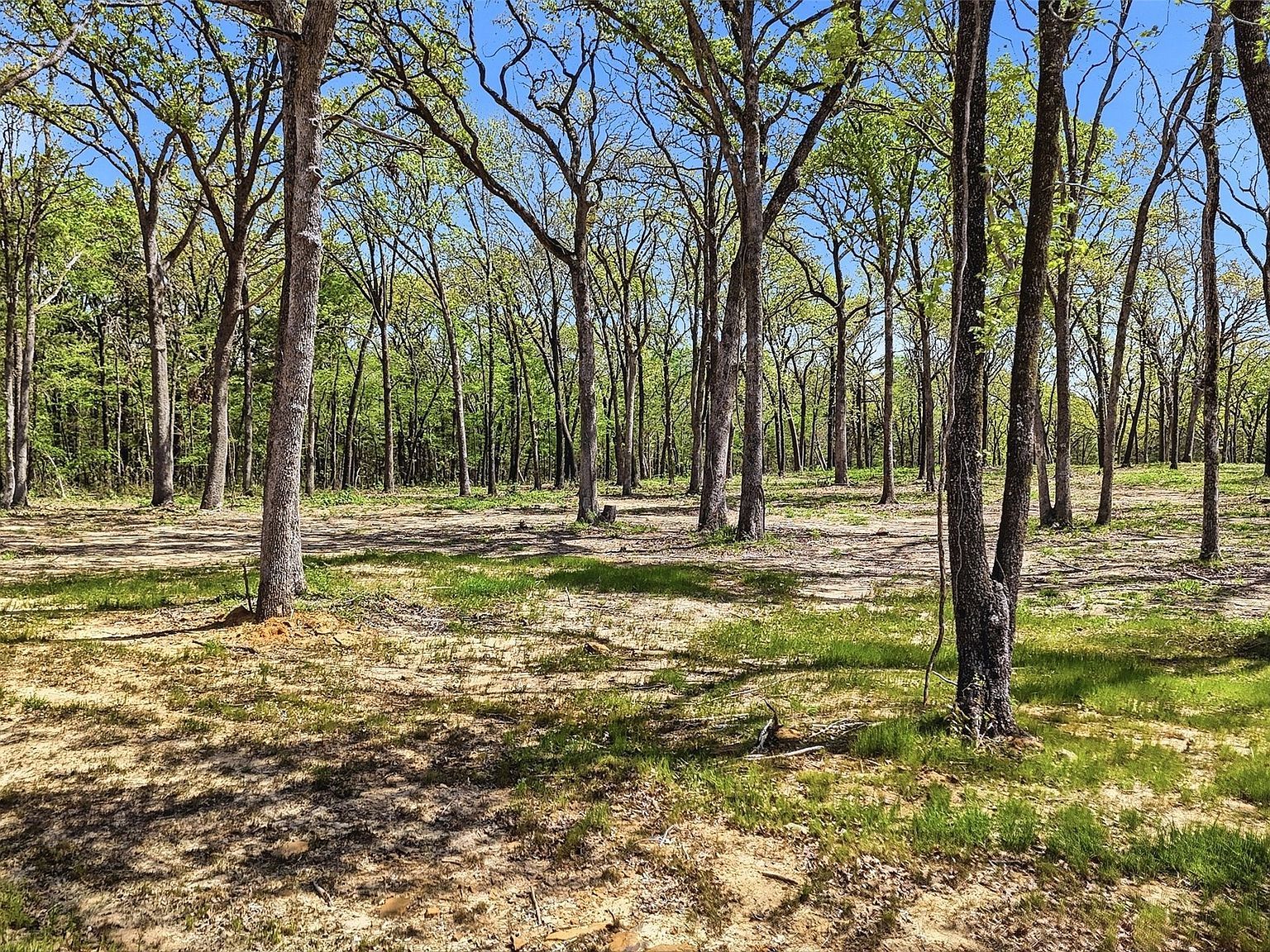 13 Buck Trail Rd Pottsboro, TX 75076 - Thumbnail 4