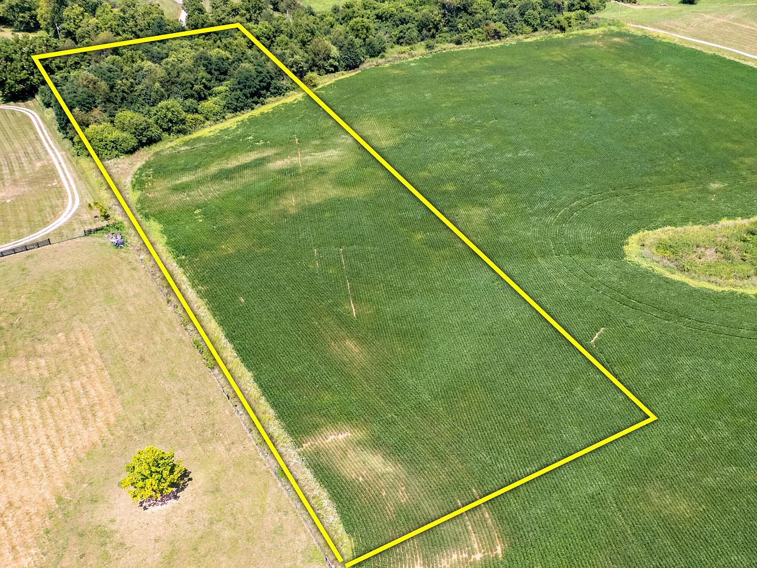 5 Cropper Rd Shelbyville, KY 40065 - Thumbnail 4