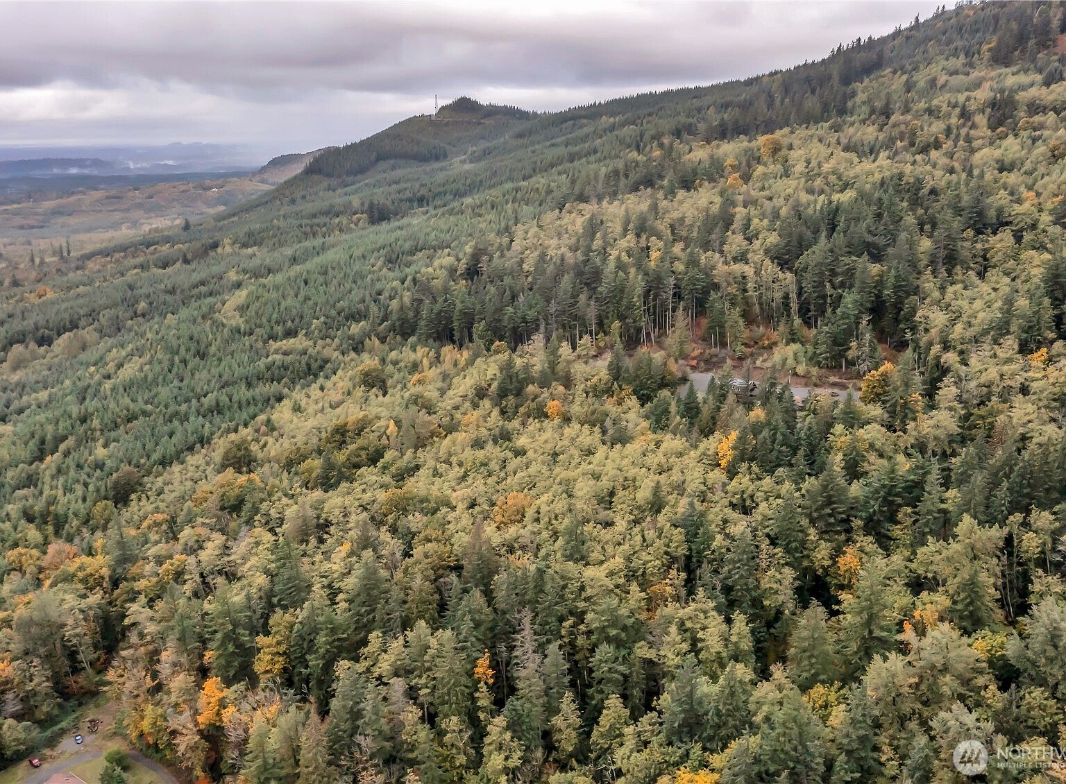 35814 SE 311th St Ravensdale, WA 98051 - Thumbnail 4