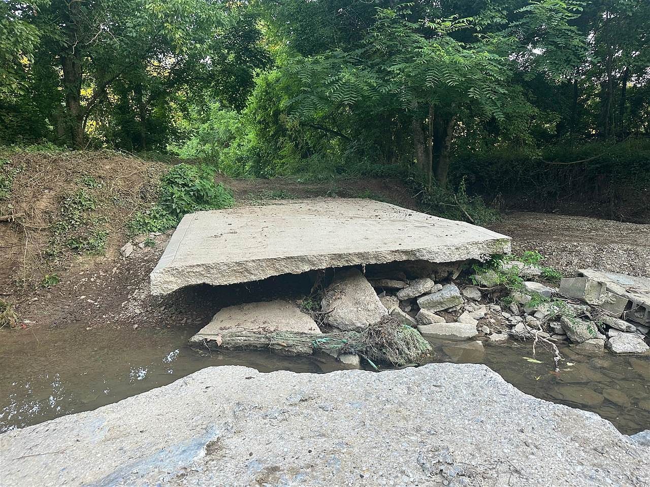 0 State Highway 49 Bradfordsville, KY 40009 - Thumbnail 4