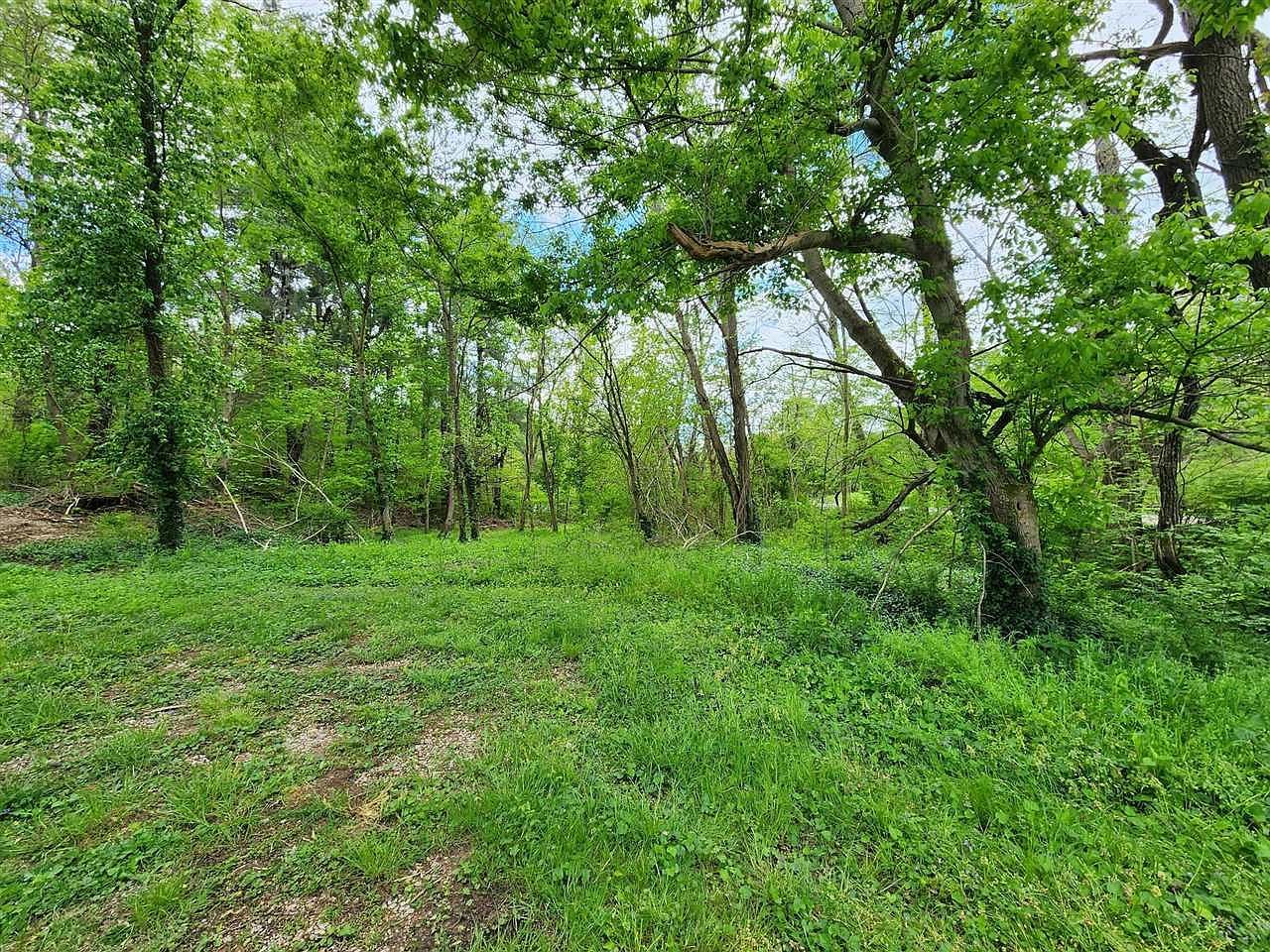 0 Rineyville Big Springs Rd Rineyville, KY 40162 - Thumbnail 4