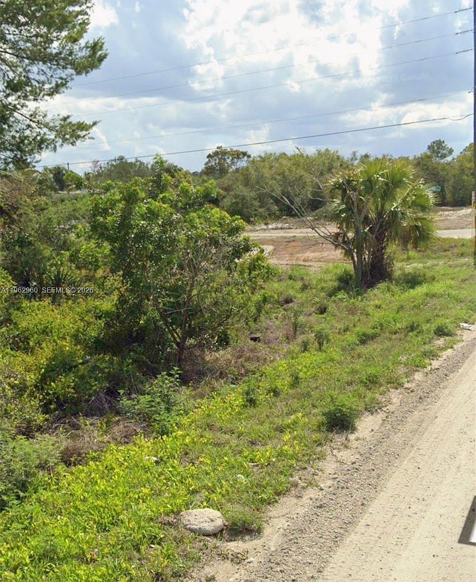 425 Fawnwood Ave Lake Placid, FL 33852  | Land/Lot