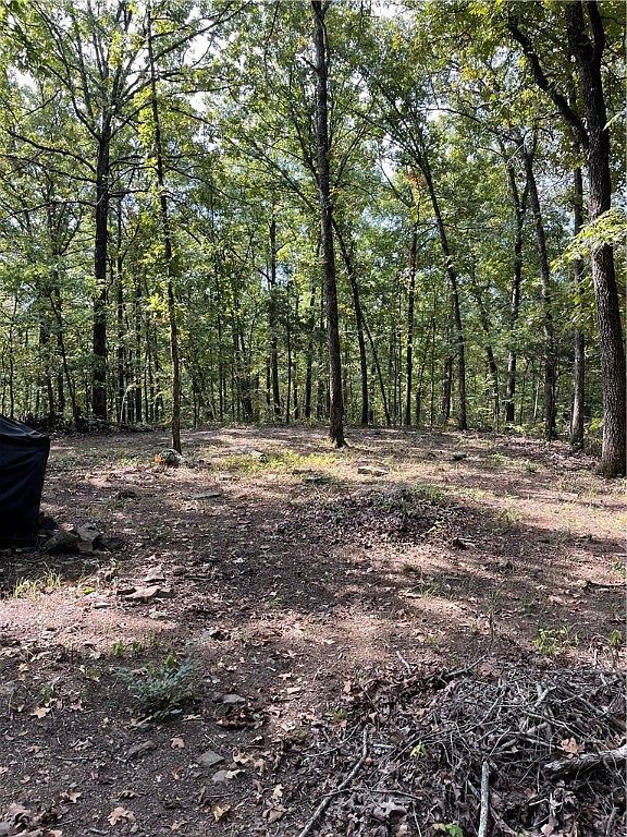 Nc #8659 Jasper, AR 72641 - Thumbnail 4