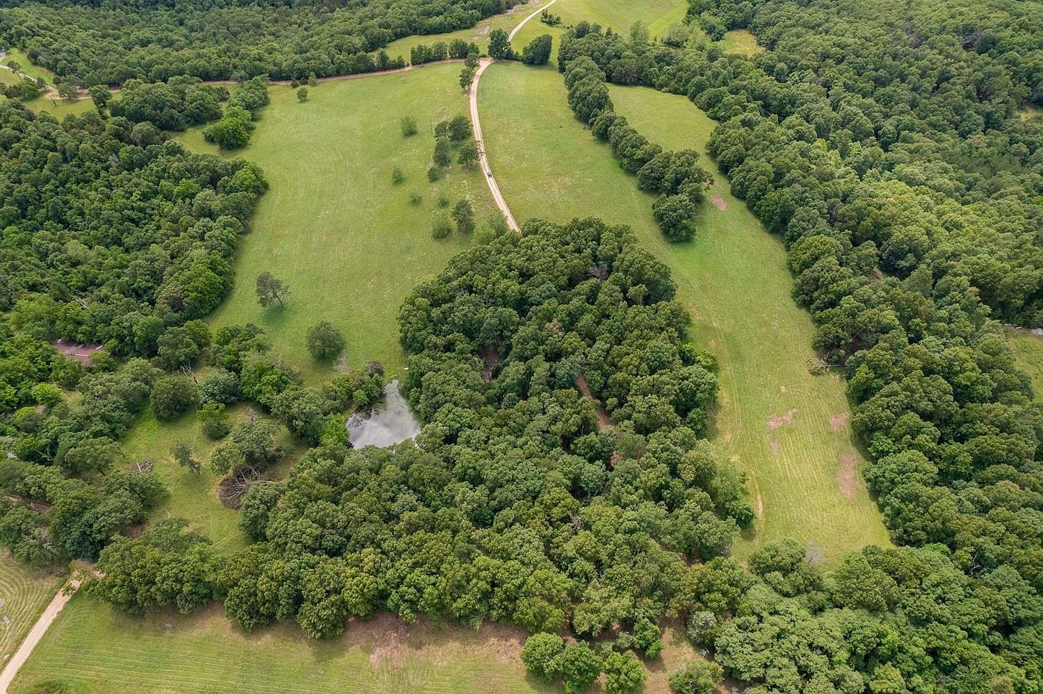 County Road 510 Berryville, AR 72616 - Thumbnail 4