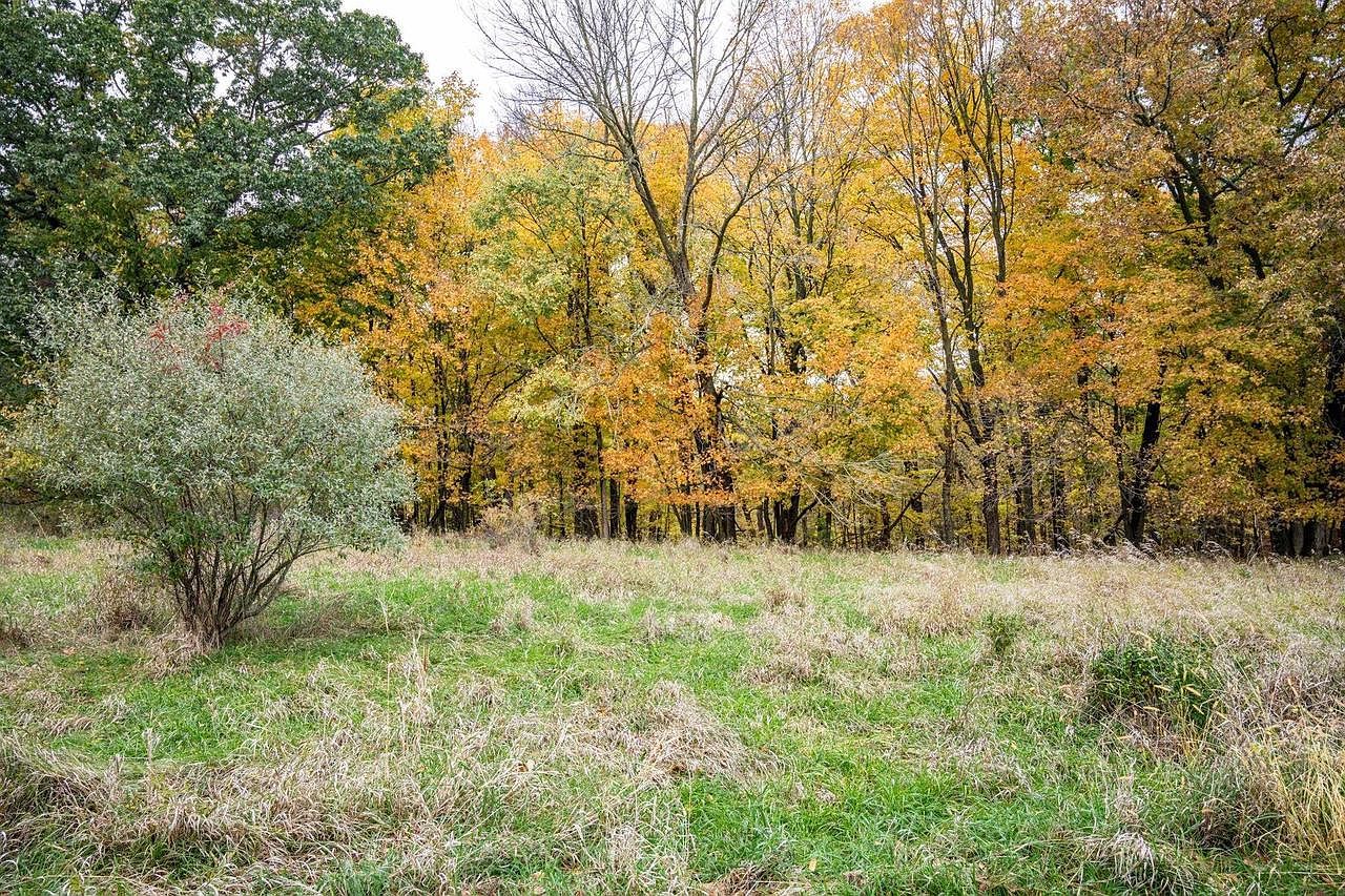 LOT 152 Pine Cone Ln La Valle, WI 53941 - Thumbnail 4
