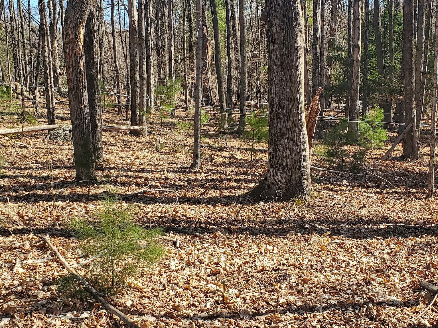 0 Center Rd Woodstock, CT 06281 - Thumbnail 4