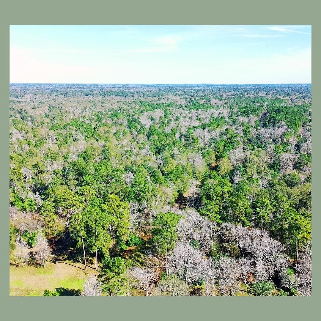 103 White Oak Dr New Caney, TX 77357 - Thumbnail 4