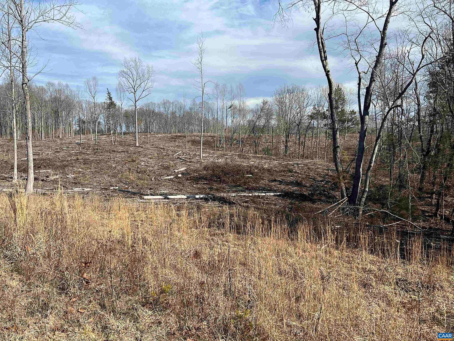 Carysbrook Rd Palmyra, VA 22963 - Thumbnail 4