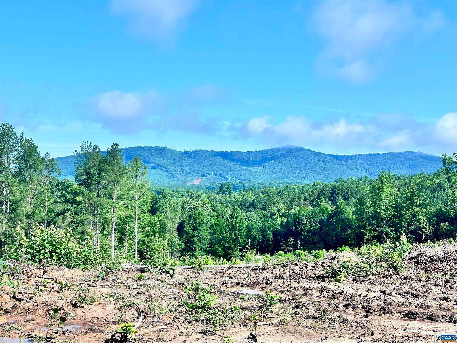 Hunting Lodge Rd Schuyler, VA 22969 - Thumbnail 4