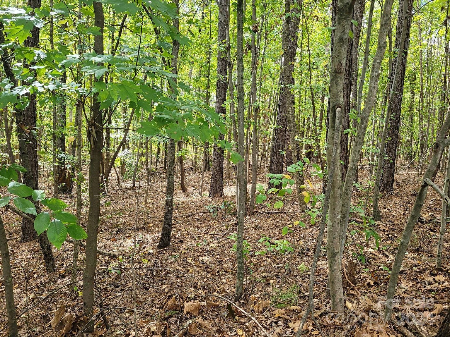 0 Wood Thrush Ln #27 Mooresville, NC 28117 - Thumbnail 4