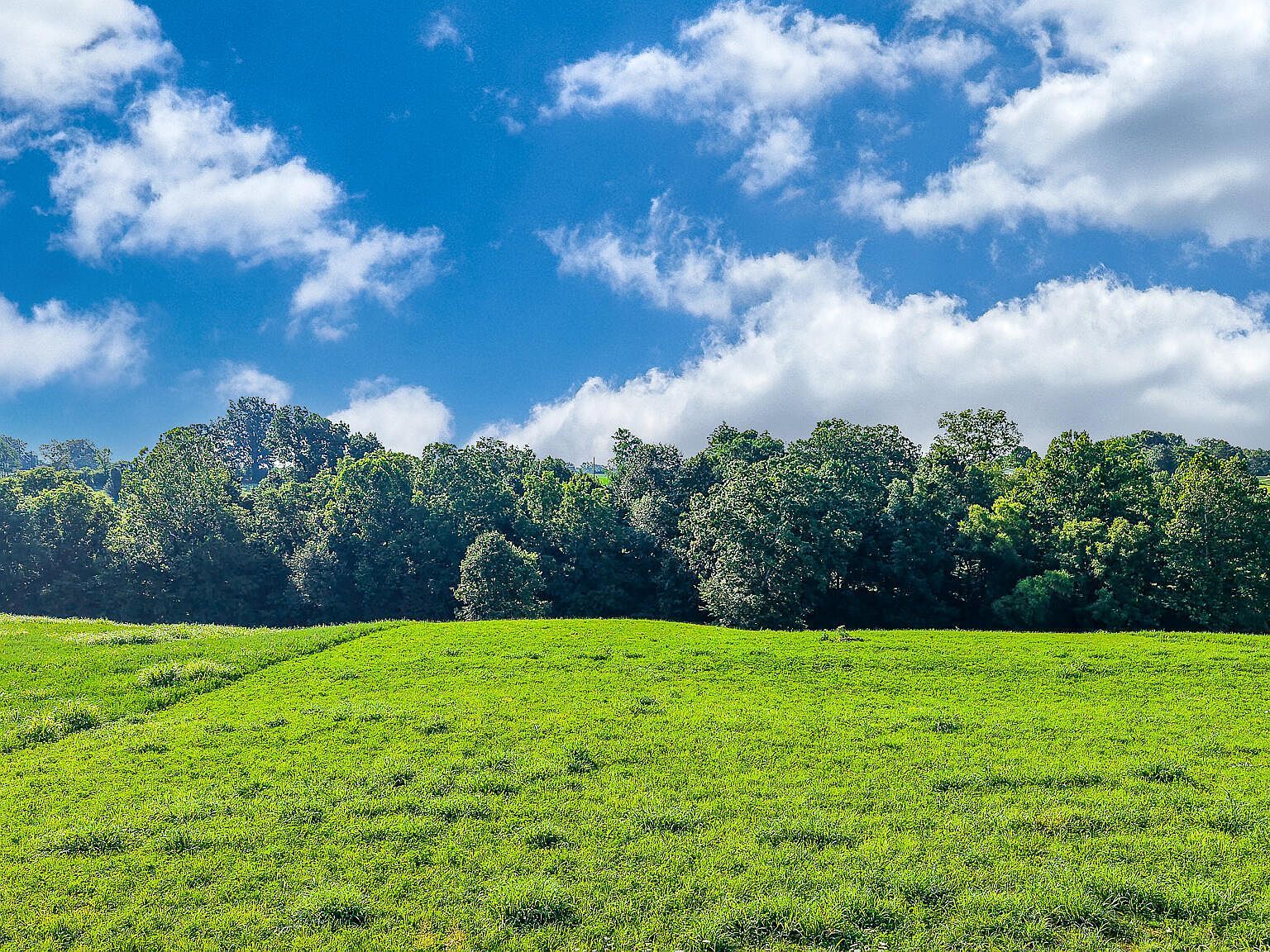 14 Evanwood Dr Owenton, KY 40359 - Thumbnail 4