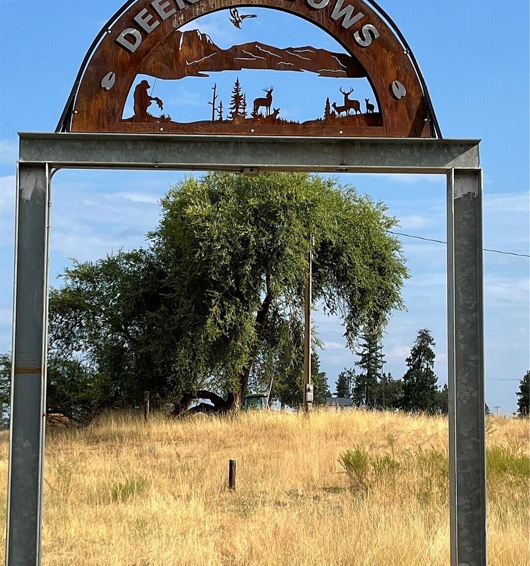 0 Miles Creston Rd N LOT 8 Davenport, WA 99122 - Thumbnail 4