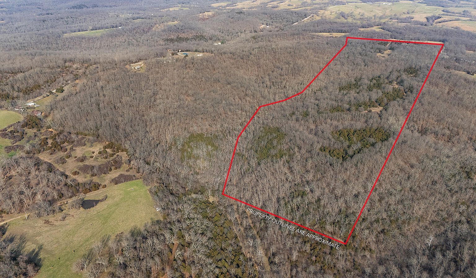 0 Abadyl Fordland, MO 65652 - Thumbnail 4