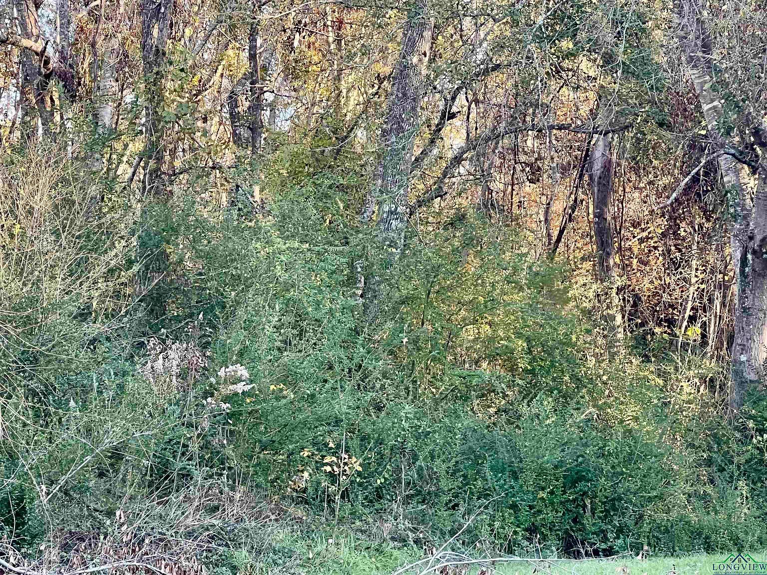 Yvonne St Marshall, TX 75672 - Thumbnail 4