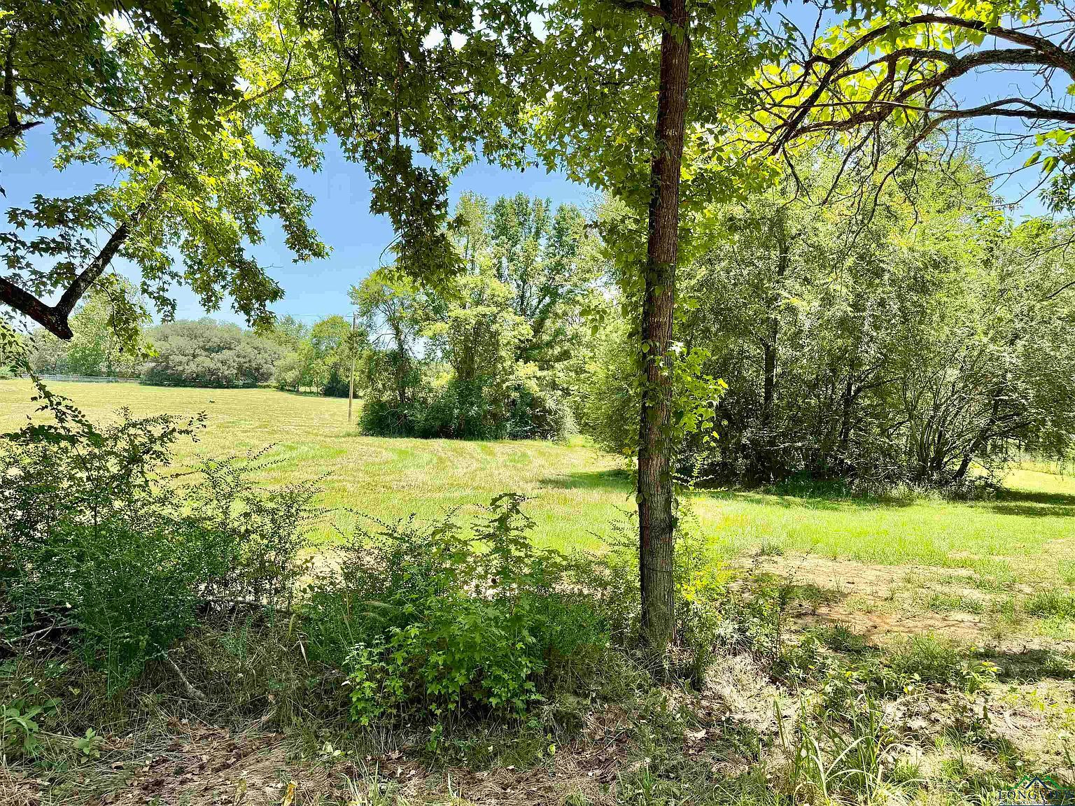 1450 Buchanan Rd Hallsville, TX 75650 | Land/Lot