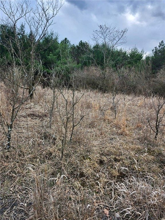 Along Saint Lawrence Rd Coalport, PA 16627 - Thumbnail 4