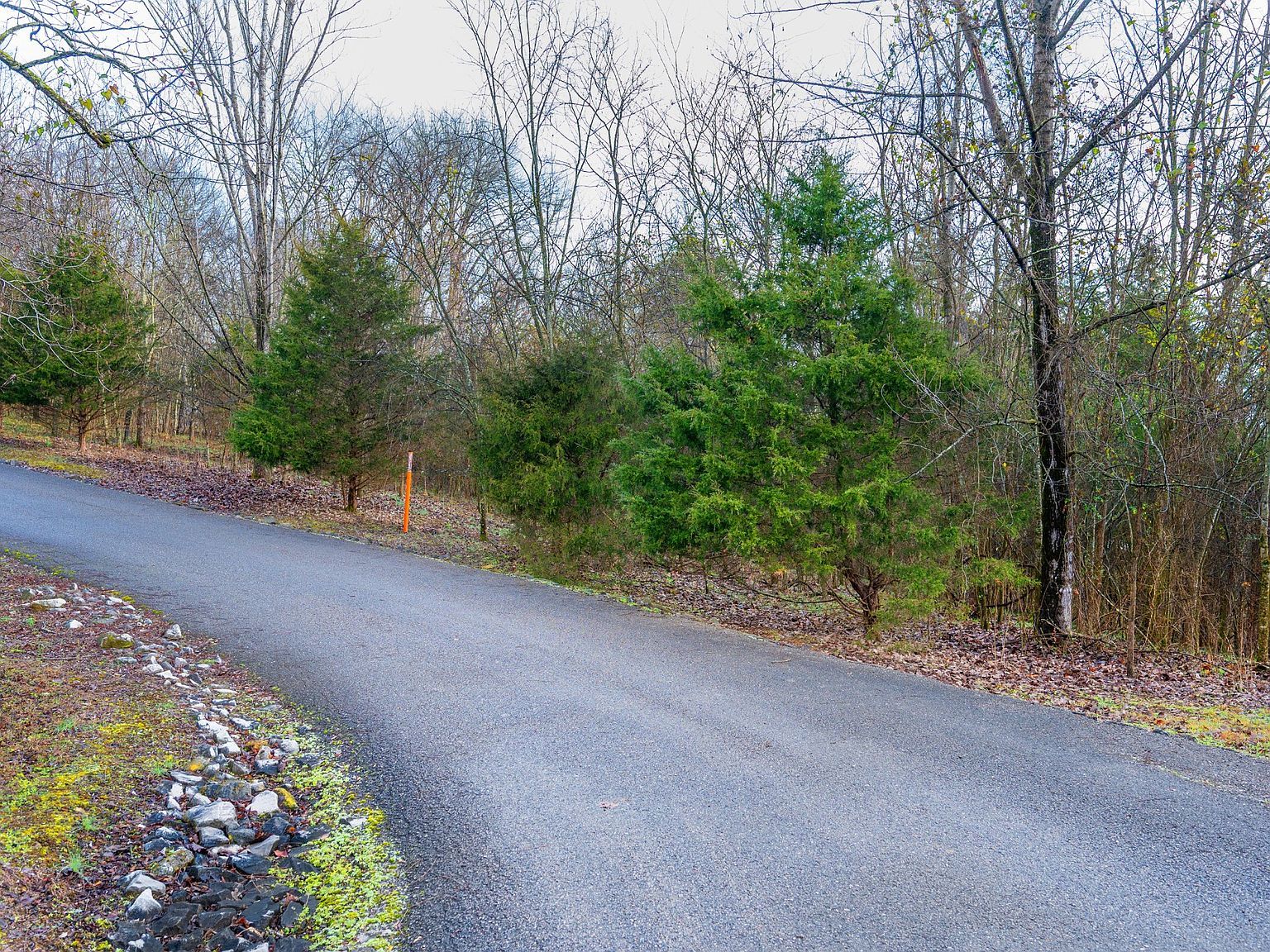 0 Lake Meadow Dr Lot 22 Smithville, TN 37166 - Thumbnail 4