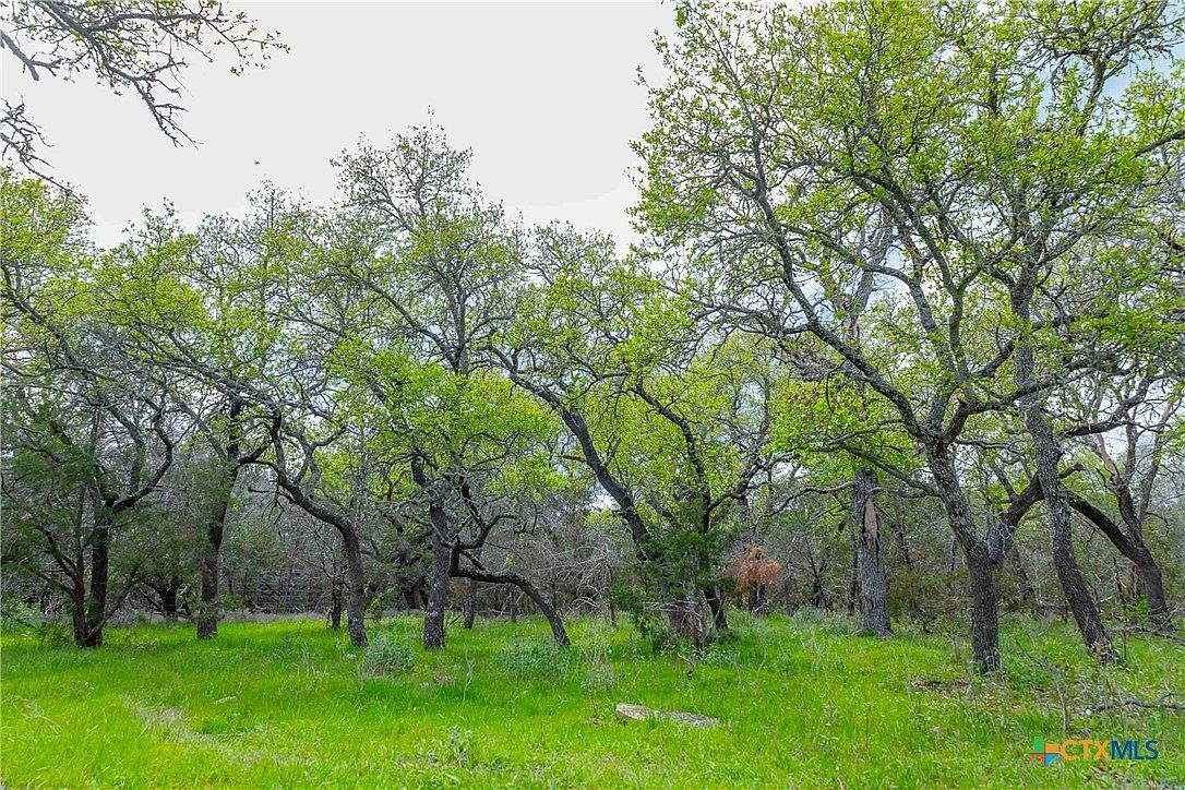 910 Abbey Rd Liberty Hill, TX 78642 - Thumbnail 4