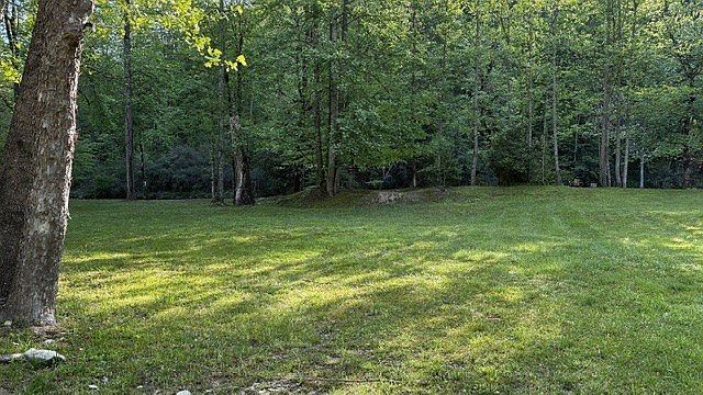 LOT 14 Mystic River Meadows Way Bryson City, NC 28713 - Thumbnail 4