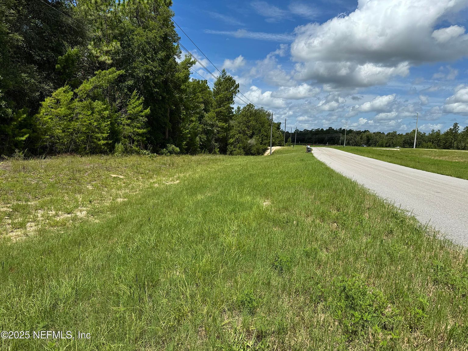 1359 State Road 20 Interlachen, FL 32148 - Thumbnail 4