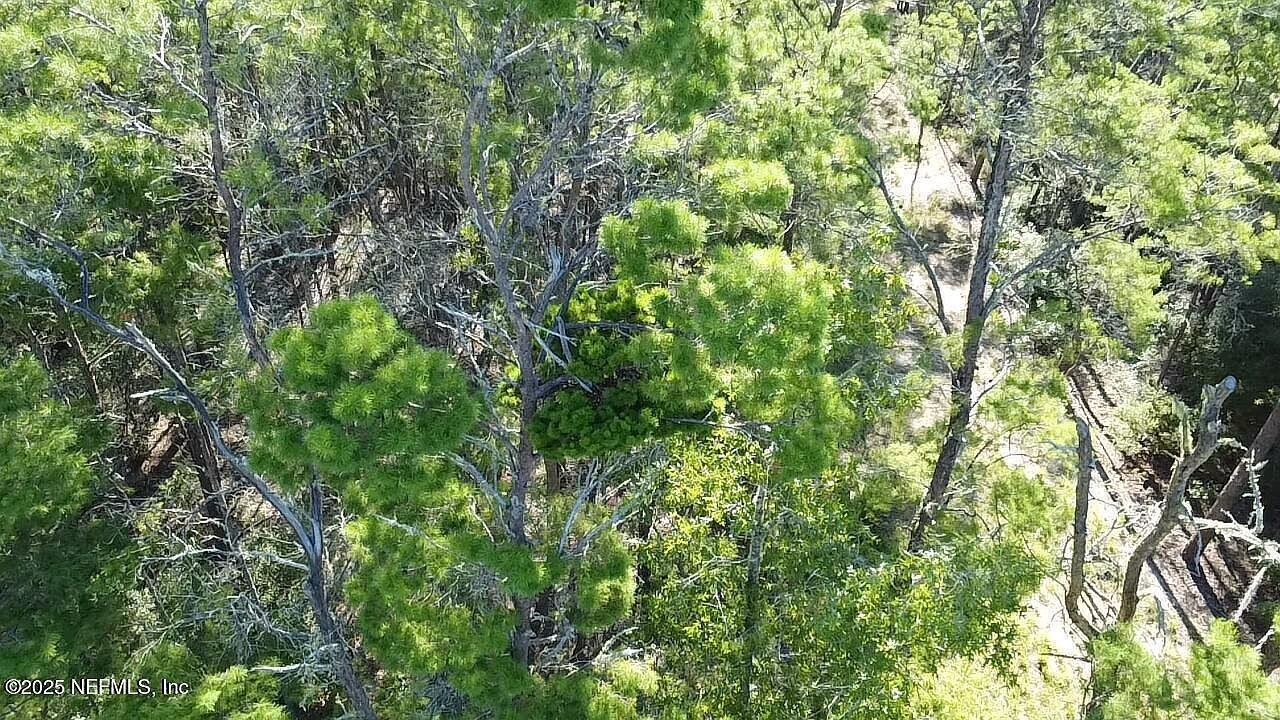 0 Hankley Lake Trl Hawthorne, FL 32640 - Thumbnail 4