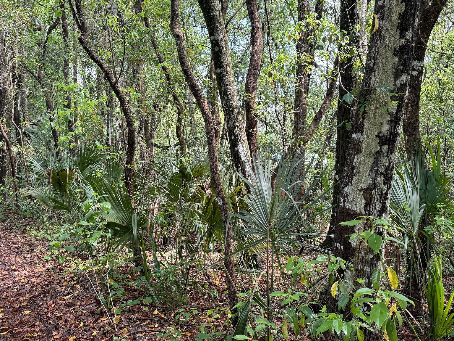 0 W Keuka Lake Rd Interlachen, FL 32148  | Land/Lot