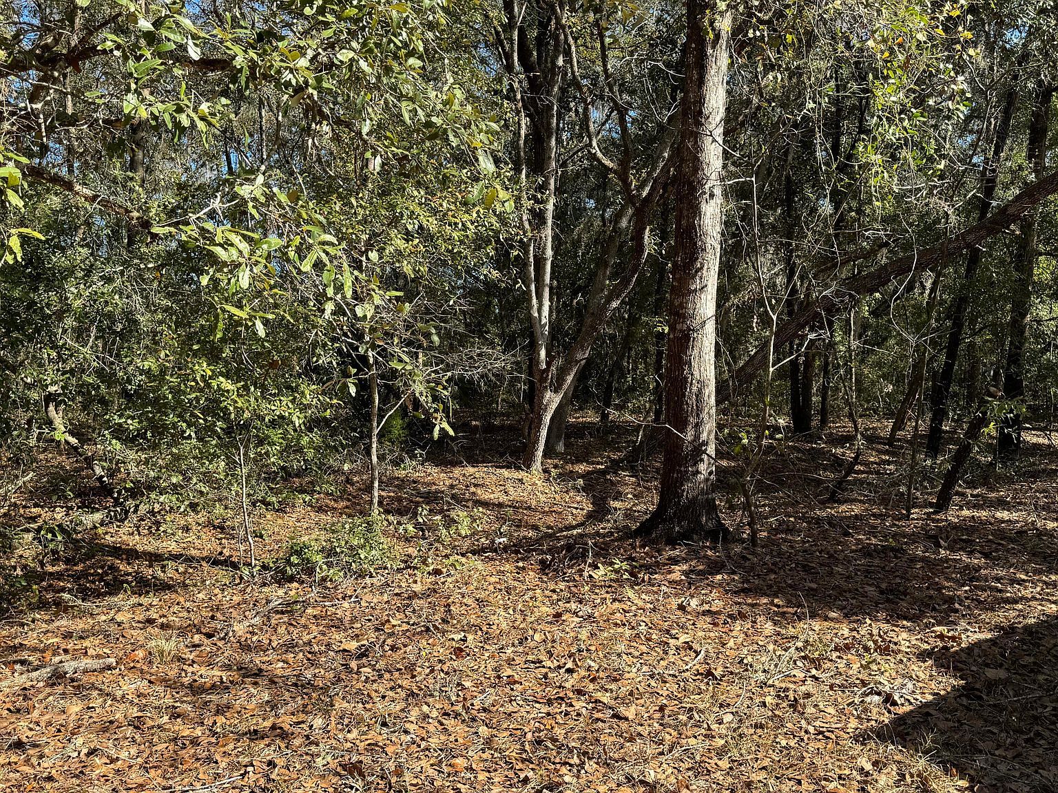 0 Chestnut Rd Hawthorne, FL 32640 | Land/Lot