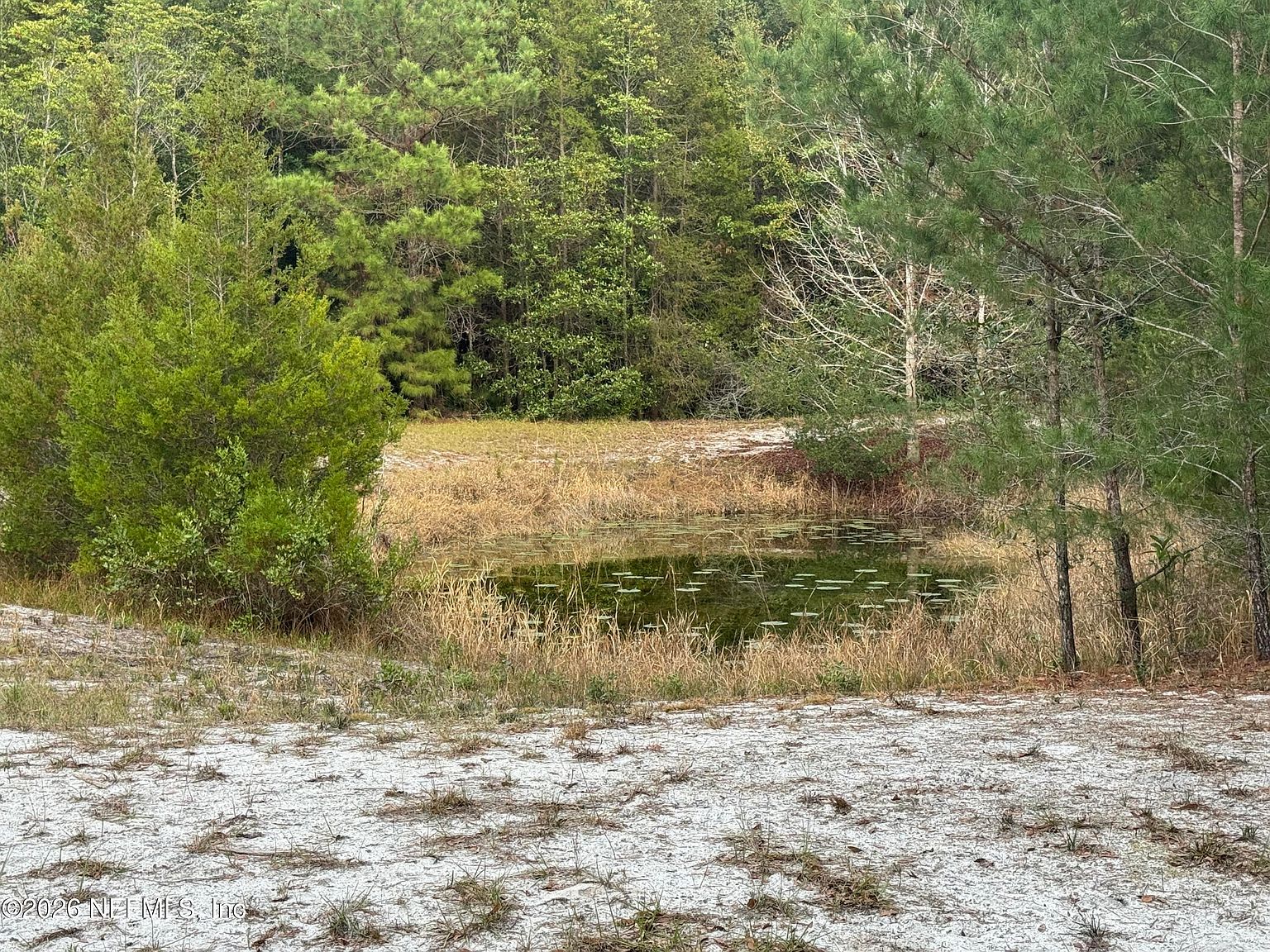 850 Cousintown Rd Interlachen, FL 32148 - Thumbnail 4