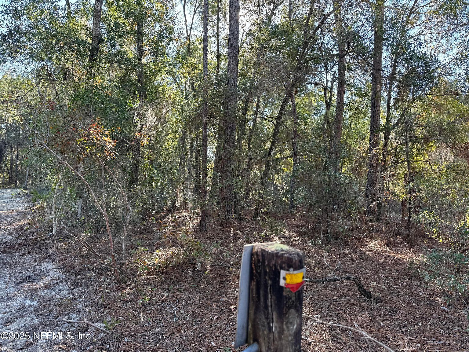 105 Race St Hawthorne, FL 32640 - Thumbnail 4