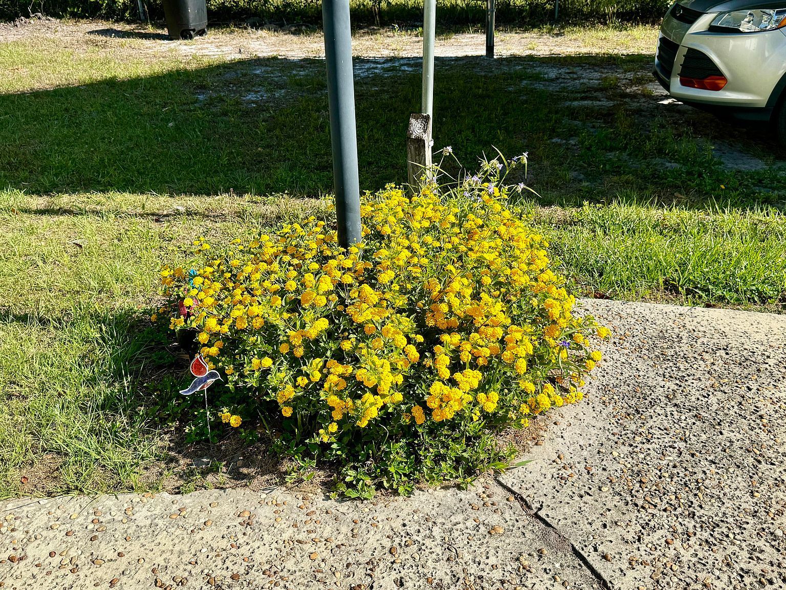 105 George Ave Interlachen, FL 32148 - Thumbnail 4