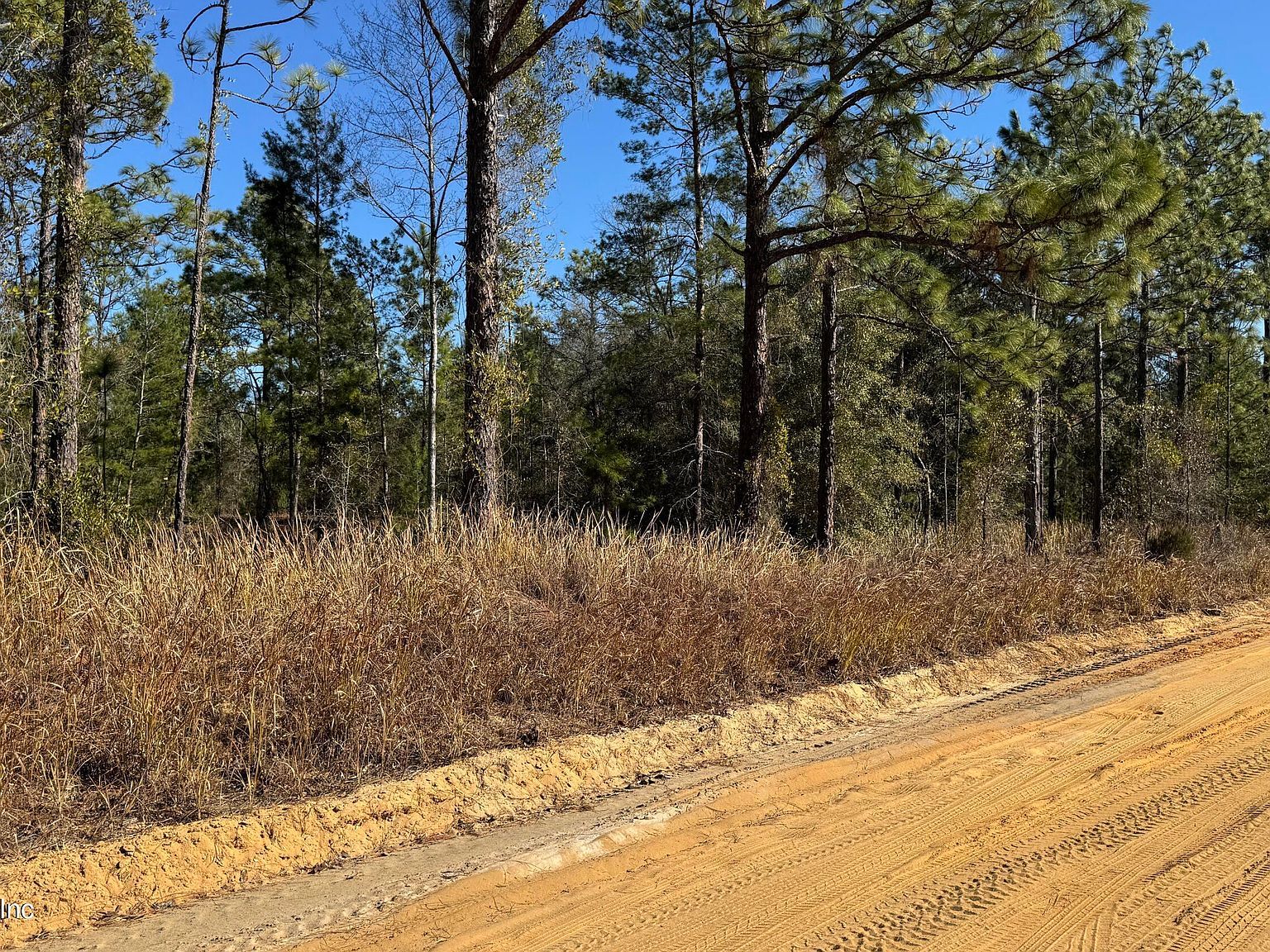 0 Poinciana Dr Interlachen, FL 32148 - Thumbnail 4