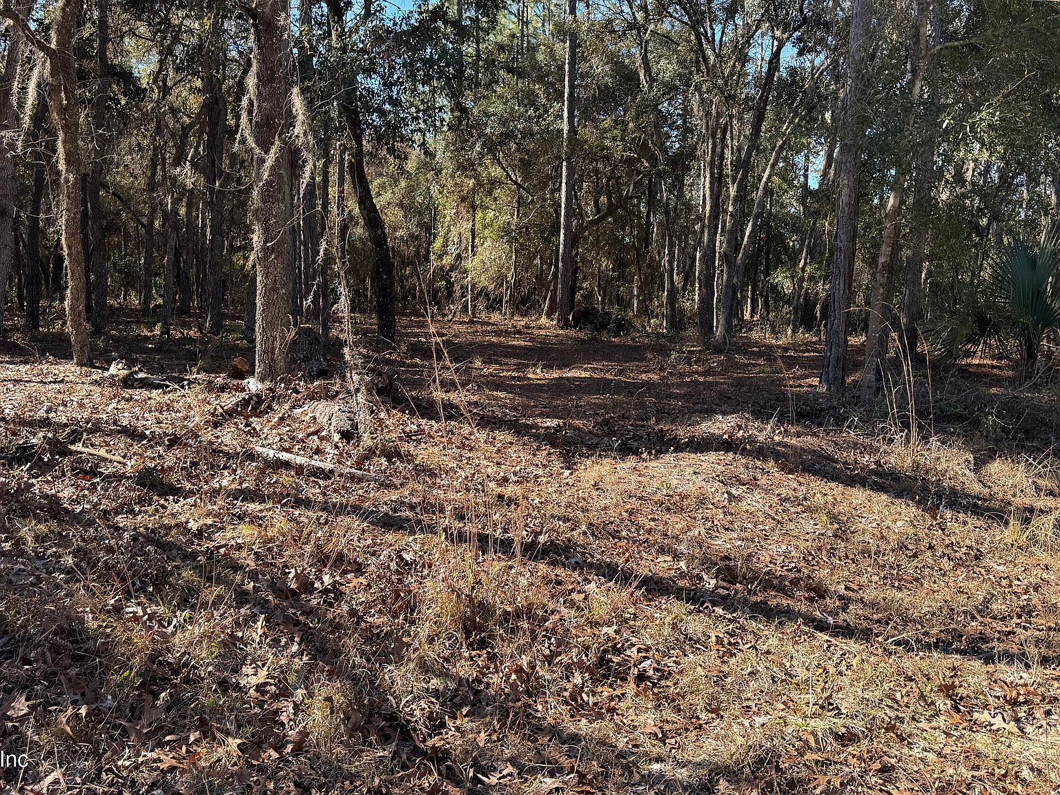 131 Spring Lake Dr Interlachen, FL 32148 - Thumbnail 4