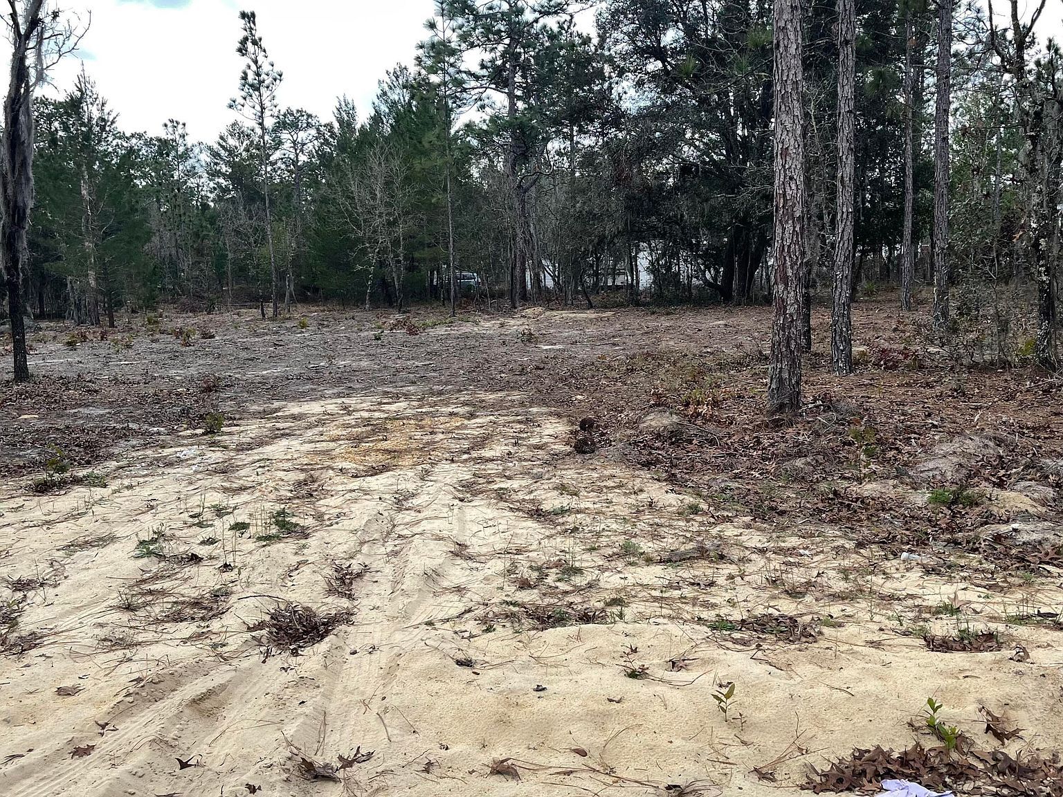 205 London Ave Interlachen, FL 32148 - Thumbnail 4