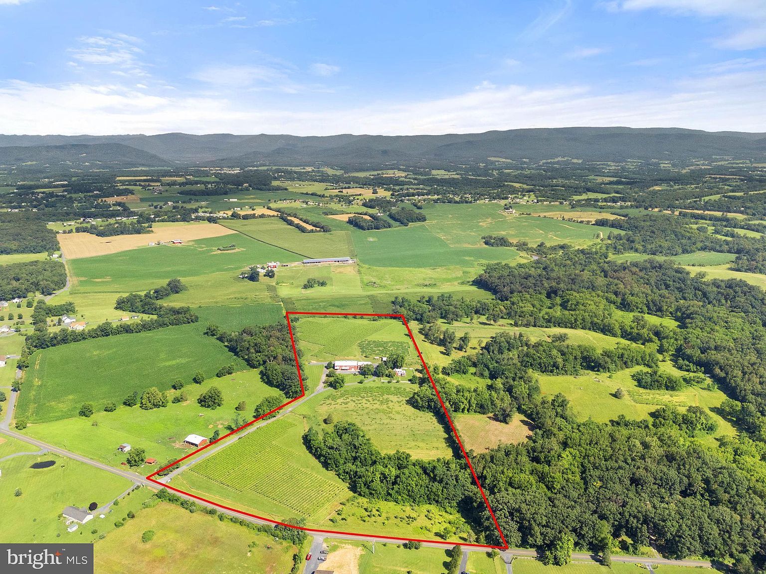 3659 S Ox Rd Edinburg, VA 22824 - Thumbnail 4