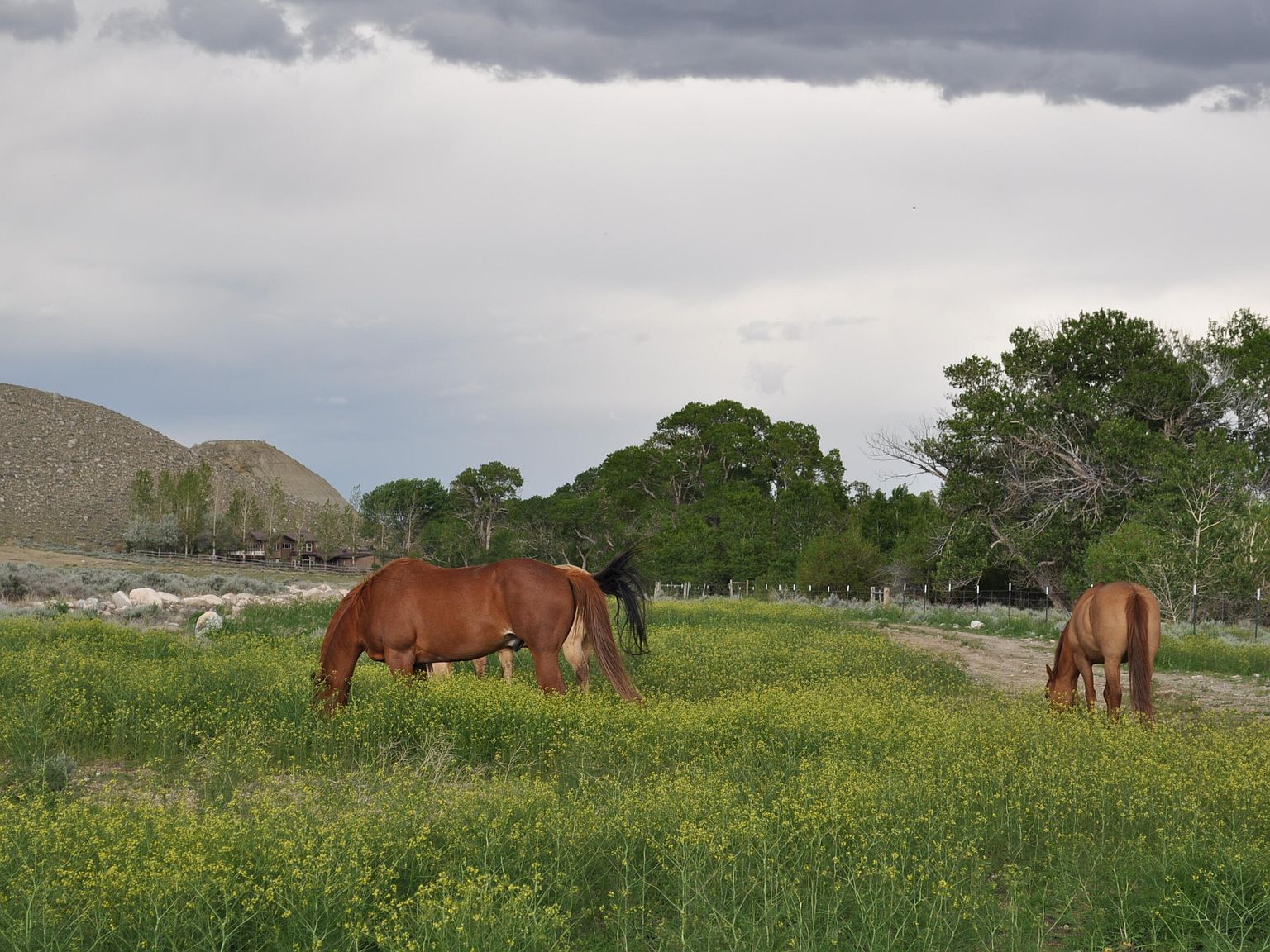 52 Road 8uc Powell, WY 82435 - Thumbnail 4