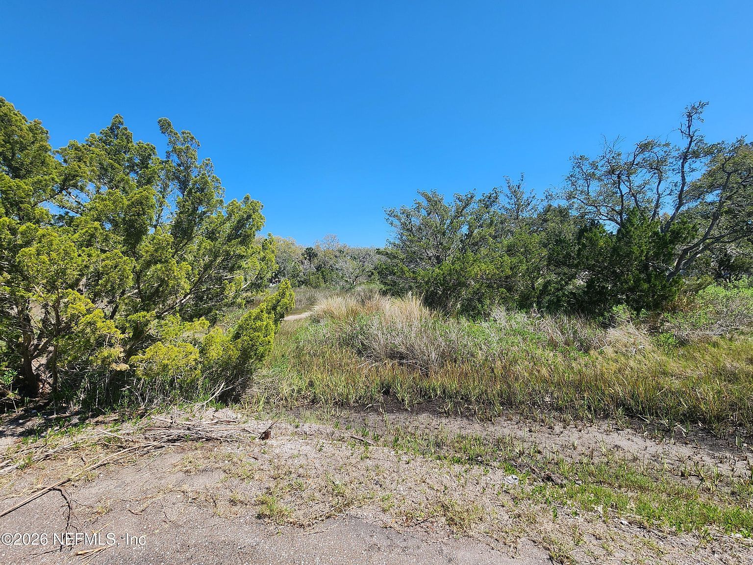 0 Shellcracker Rd Jacksonville, FL 32226 - Thumbnail 4