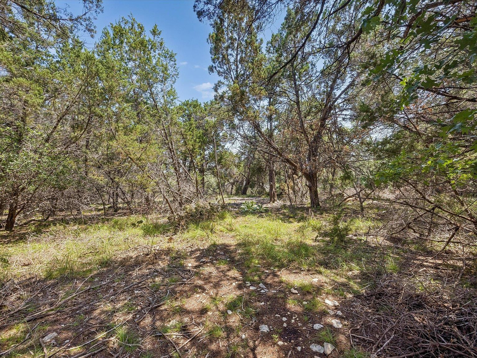 175 Spanish Oak Ln Liberty Hill, TX 78642 - Thumbnail 4