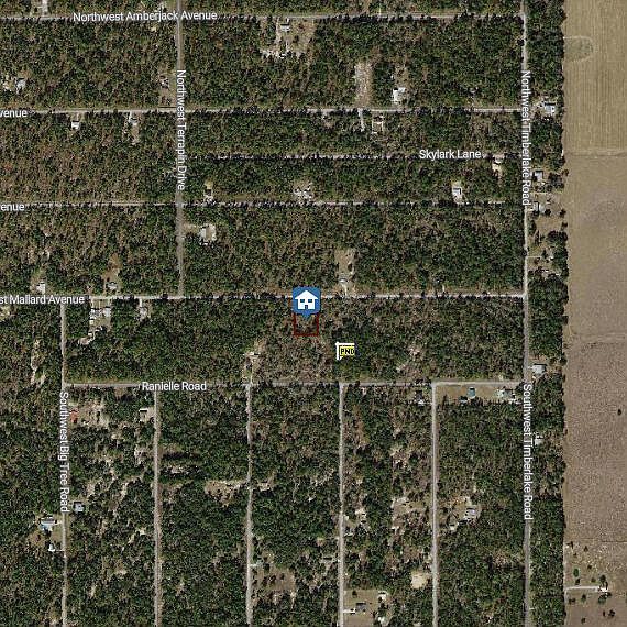 0 NW Mallard Ave Dunnellon, FL 34431 - Thumbnail 4