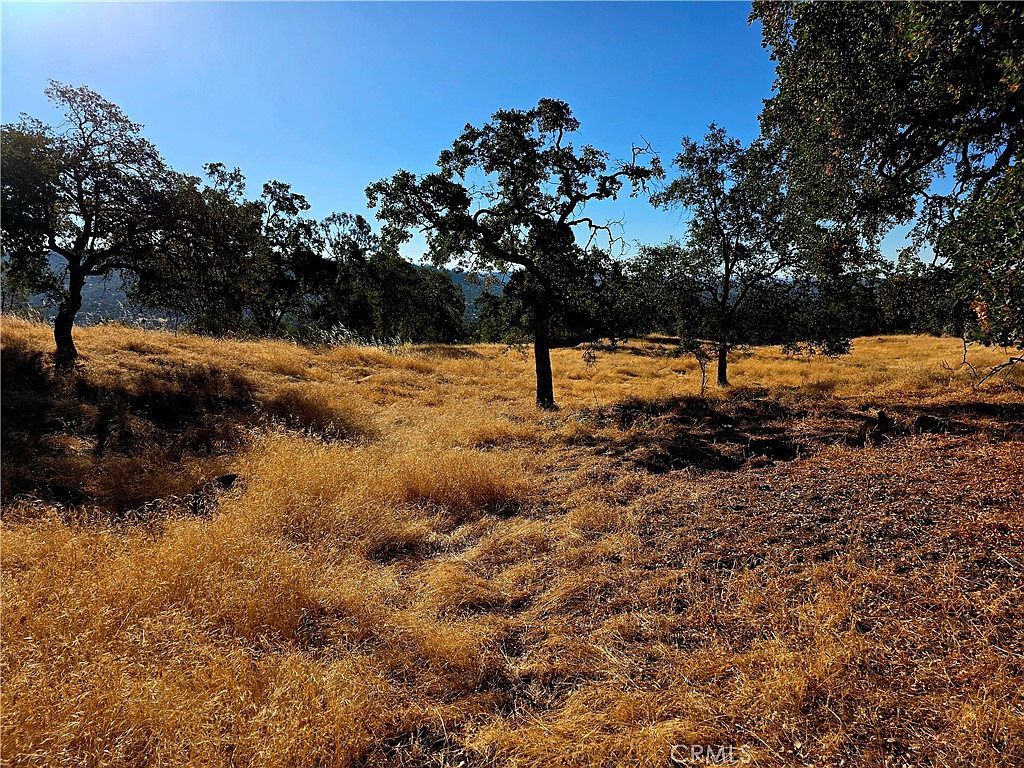 1 Lilley Mountain Dr LOT 1379 Coarsegold, CA 93614 - Thumbnail 4