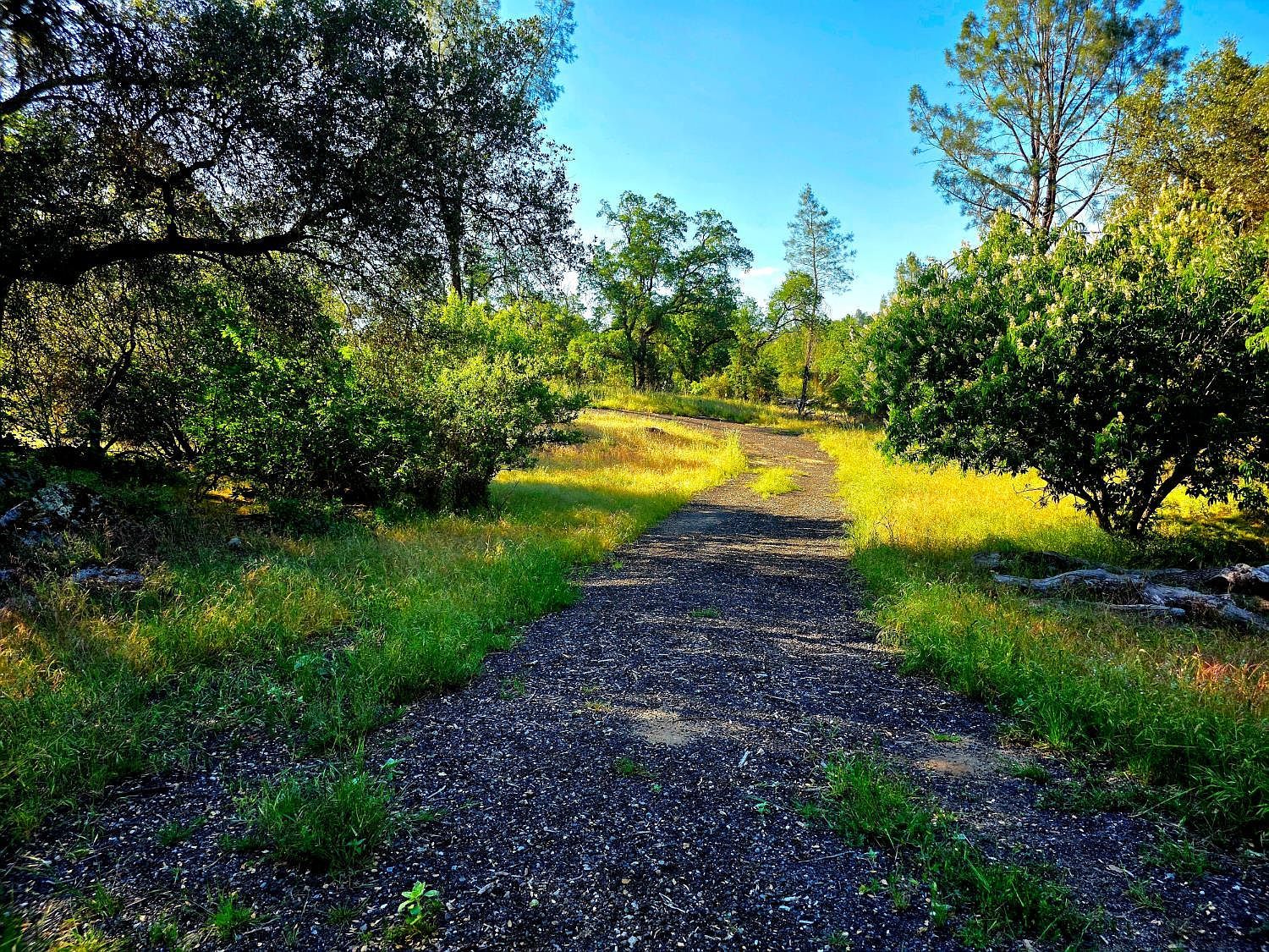1 River Knolls Pl Coarsegold, CA 93614 - Thumbnail 4