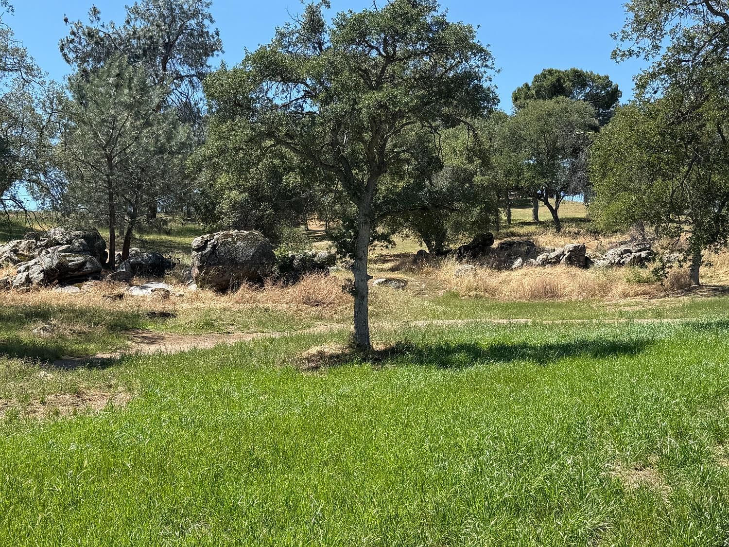 958 Kings Canyon Ct S Coarsegold, CA 93614 - Thumbnail 4