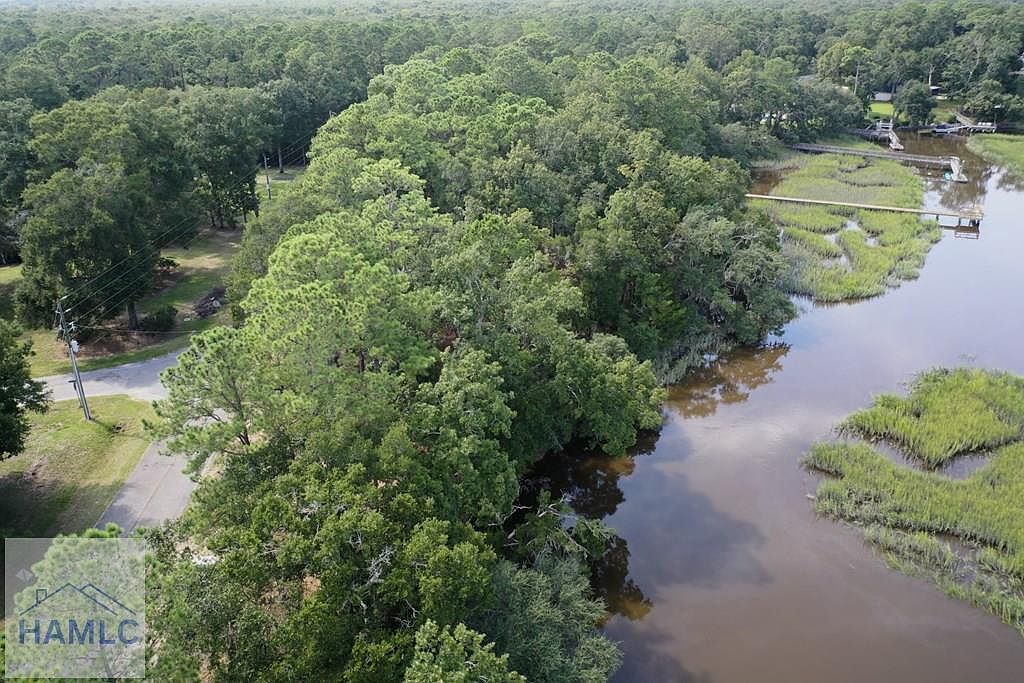 2061 Belle Island Rd Richmond Hill, GA 31324 - Thumbnail 4