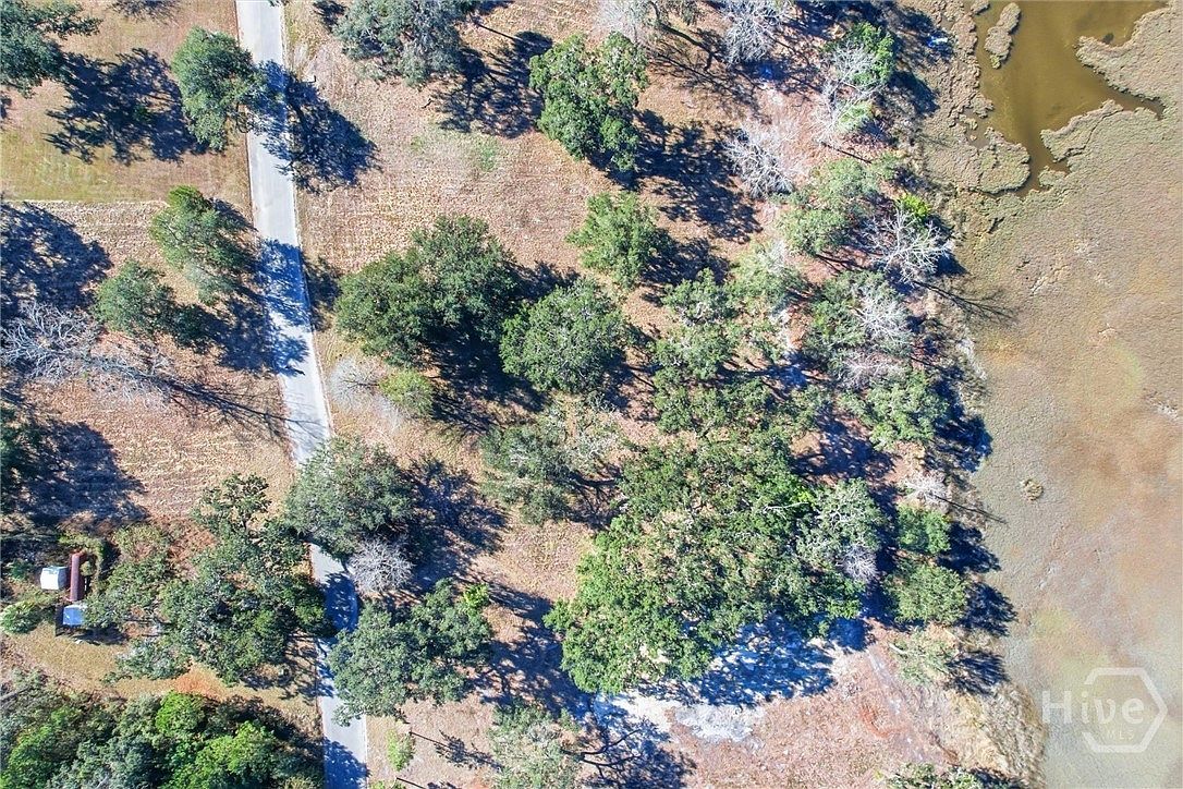 LOT 5 Bermuda Bluff Rd Midway, GA 31320 - Thumbnail 4