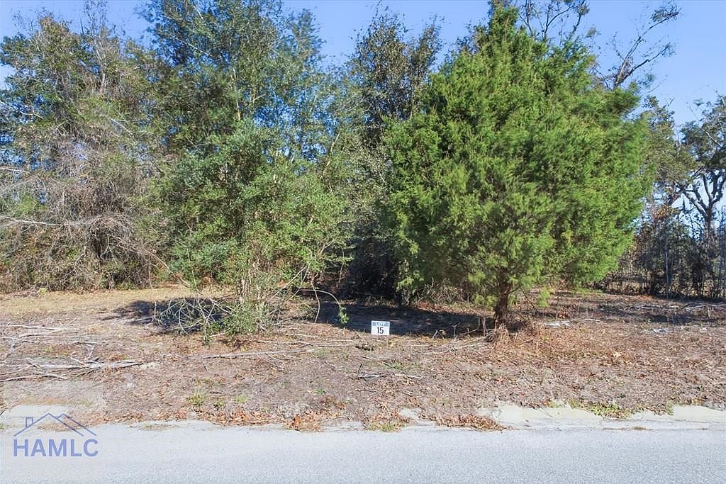 LOT 15 Bermuda Bluff Ln Midway, GA 31320 - Thumbnail 4