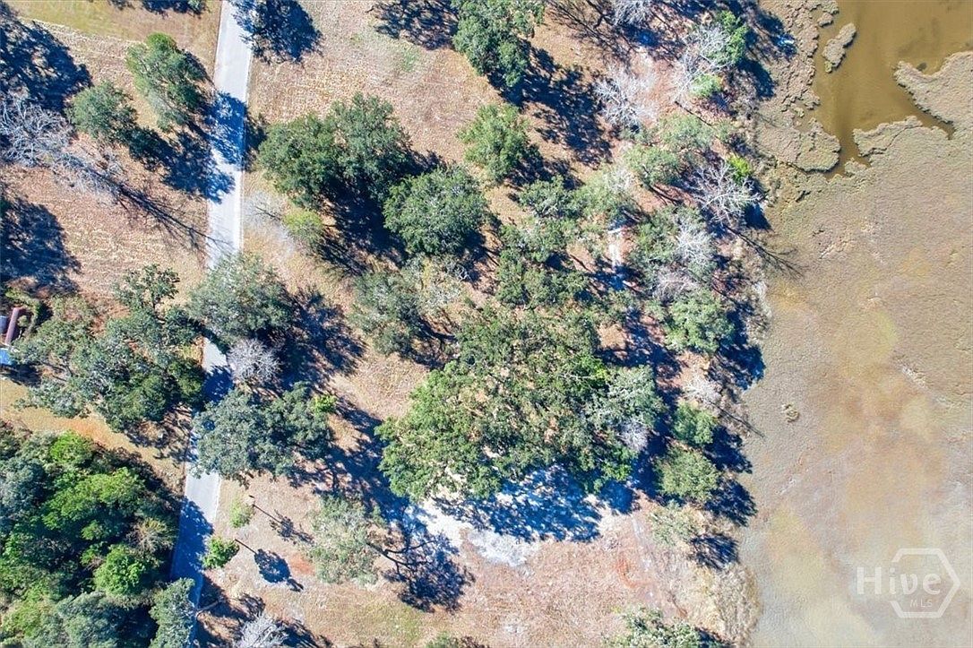 LOT 6 Bermuda Bluff Rd Midway, GA 31320 - Thumbnail 4