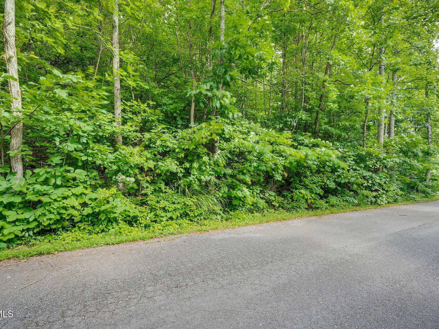 LOT 41 Ridgeheights Dr Johnson City, TN 37615 - Thumbnail 4