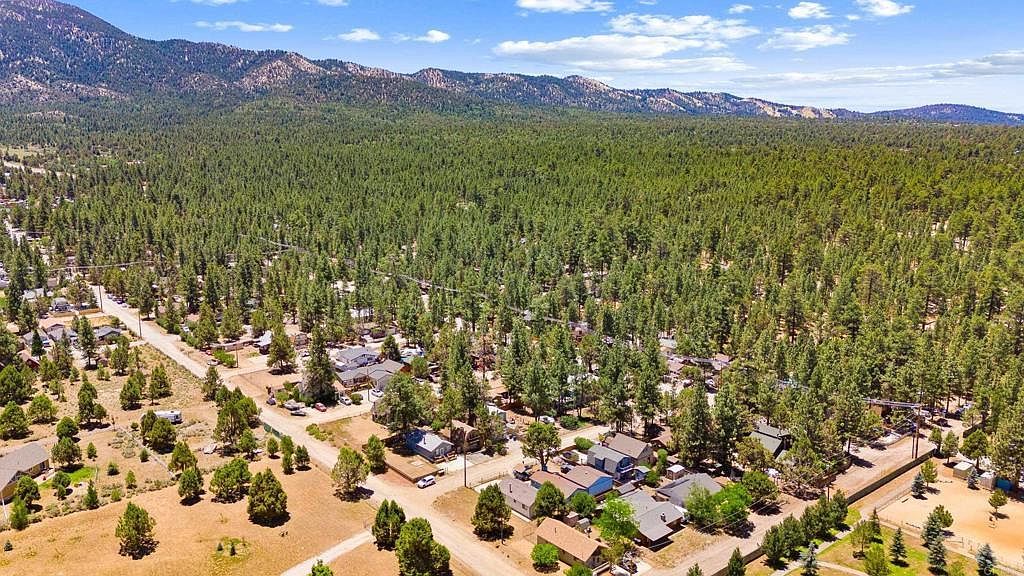 2090 10th Ln Big Bear City, CA 92314 - Thumbnail 4
