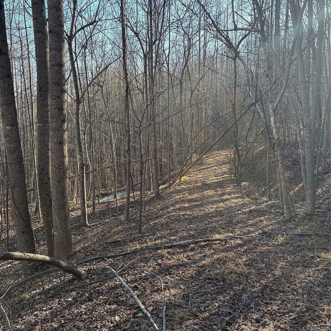 Brindlewood Dr #38V Nebo, NC 28761 - Thumbnail 4