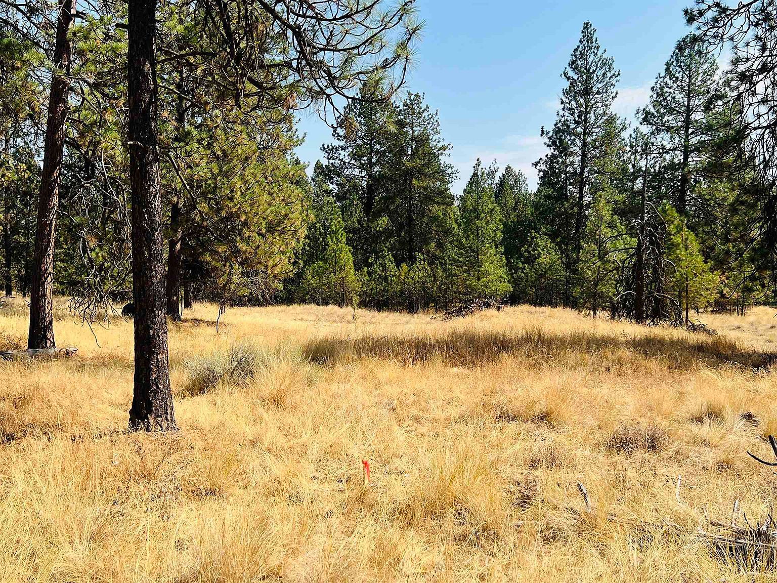 W Brooks Rd Medical Lake, WA 99022 - Thumbnail 4